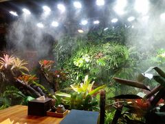 -森味薪火烧•烧鸟居酒屋•日本料理(望京店)