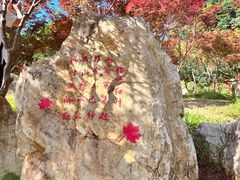 -广州市帽峰山景区