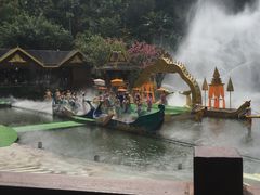 -西双版纳原始森林公园