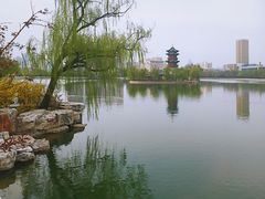 -迎泽公园