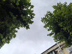 -茂隆餐厅(进贤路店)
