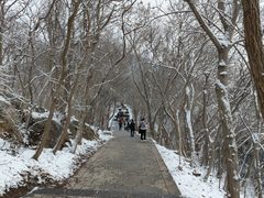 -紫金山山顶公园
