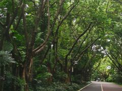 -南宁南湖公园
