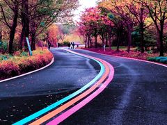 -同里国家湿地公园