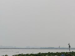 -七的湖·晚芳亭·阳澄湖农家菜·大闸蟹(莲花岛店)