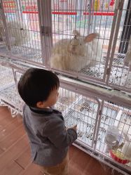 -小蜜蜂农场(凯德七宝购物广场店)