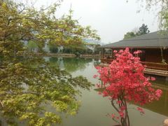 android_upload_pic-杭州六谷生态休闲农庄有限公司