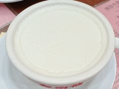南信双皮奶-南信牛奶甜品专家