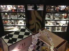 -雪灵魔法世界SHELLY’S TAROT(大良桂畔里店)