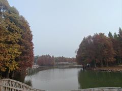 -厦门园林博览苑