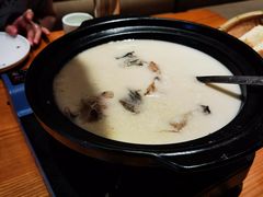 -丹江渔村(望京店)