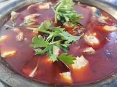 -重庆特色冷锅鱼(武大店)