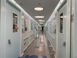 -杭州贝瑞斯美华妇儿医院·早孕·产检·儿科