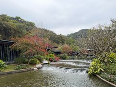 -云溪植物园