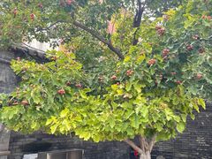 -张学良旧居陈列馆