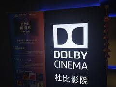 -万达影城(闵行颛桥万达广场杜比影院店)