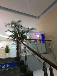 -成都军建医院·疤痕诊疗中心