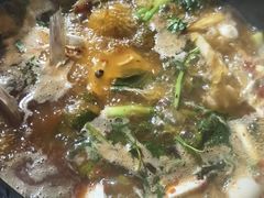 -老杨砂锅鱼庄