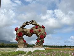 -亚龙湾国际玫瑰谷