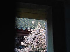 -拙政园