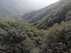 -妙峰山风景名胜区