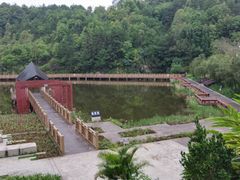 -神光山国家森林公园