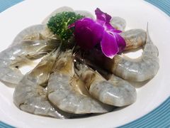 -青瓷火锅料理(西单大悦城店)