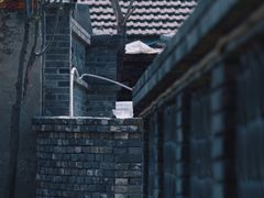 -三里河公园