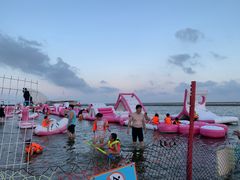 -碧海金沙