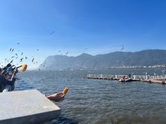 -海埂大坝