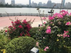 -筼筜书院