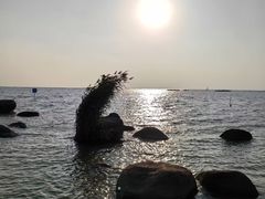 -滆湖低碳生态公园