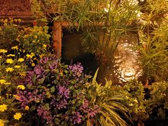 -浔岚云舍mist静谧观景美宿(丽江古城店)