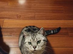 -兰溪小馆(东直门簋街店)