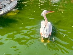 -大连老虎滩海洋公园