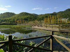 -广州市石门国家森林公园