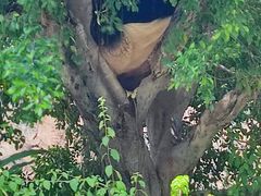 -灵玲国际马戏城