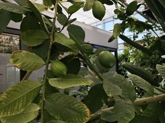 -恩格贝生态旅游区