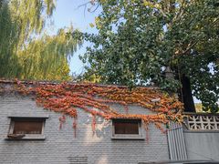 -北京医院