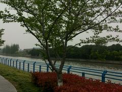 android_upload_pic-高东镇樱花园