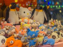 -太湖之星水上摩天轮-停车场