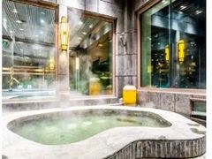 -弘安丽水温泉酒店