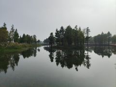 -贡湖湾湿地公园
