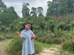 -白鹭湾湿地公园