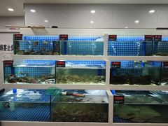 -渔家乐小海鲜(皇姑店)