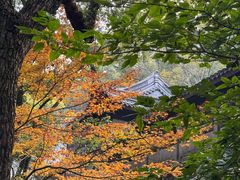 -宁波市保国寺古建筑博物馆