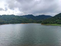 -东莞市大岭山森林公园