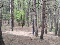 -帽儿山国家森林公园