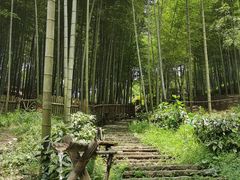 -宁波浙东大竹海景区