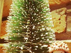 -blue frog蓝蛙(长泰广场店)